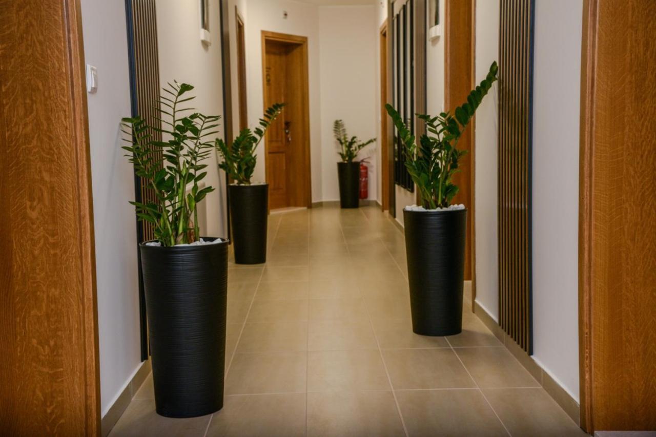 Mini Hotel Riverlux Apartments Bačka Palanka Esterno foto