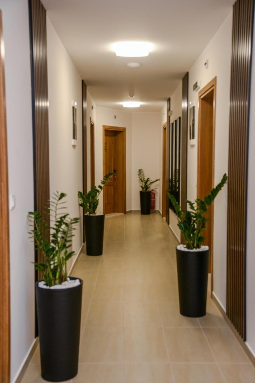 Mini Hotel Riverlux Apartments Bačka Palanka Esterno foto
